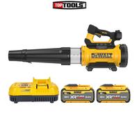 DeWalt DCMBL777 54V XR Brushless Axial Blower With 2 x 15Ah Batteries & Charger