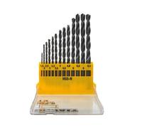 Dewalt Dt5912 Hss Jobber Drill Bit Set - 13 Piece High Speed Steel Kit