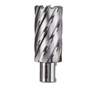 DEWALT DWAC02020 1-1/4" X 2" HSS ANNULAR CUTTER 3/4" WELDON