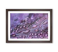 Dewdrops Upon a Lilac Leaf in Abstract Framed Print | A2 Walnut Framed Wall Art | Ready to Hang | Abstract Floral Picture | Living Room Bedroom Lounge Office