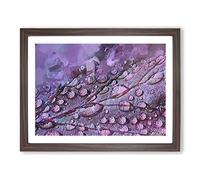 Dewdrops Upon A Lilac Leaf In Abstract Modern Art Framed Print | A2 Walnut Framed Wall Art | Ready to Hang | Abstract Floral Picture | Living Room Bedroom Lounge Office