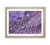 Dewdrops Upon A Lilac Leaf In Abstract Modern Art Framed Print | A4 Oak Framed Wall Art | Ready to Hang | Abstract Floral Picture | Living Room Bedroom Lounge Office