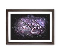 Dewdrops Upon a Lilac Leaf Paint Splash Framed Print | A2 Walnut Framed Wall Art | Ready to Hang | Modern Floral Picture | Living Room Bedroom Lounge Office