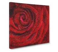 Dewdrops Upon a Red Rose Canvas Print | Gallery Wrapped 30mm Frame Wall Art | 20x20 inches | Ready to Hang | Abstract Floral Picture | Living Room Bedroom Lounge Office
