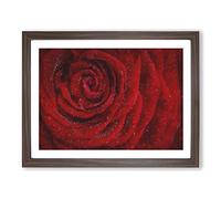 Dewdrops Upon A Red Rose Painting Modern Art Framed Print | A3 Walnut Framed Wall Art | Ready to Hang | Modern Floral Picture | Living Room Bedroom Lounge Office