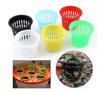 DEWIN Hydroponic Mesh Pot, 10pcs Heavy Duty Mesh Pot Net Cup Basket Hydroponic Plant Grow Clone Gardening(White)