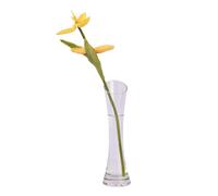 Dewocke Glass Flower Vase, 20cm Narrow Necked Vase, Tall Thin Glass Vases, Small Single Stem Vase, Decorative Bud Vase, Modern Clear Vase for Centerpieces, Living Room, Kitchen, Office, Wedding Decor