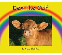 Dex the Calf
