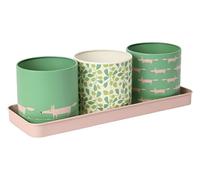 Dexam Scion Mr Fox Set of 3 Herb Pots - Mint Leaf