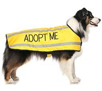 Dexil ADOPT ME (I Need A New Home) Yellow Colour Coded S M L Reflective Waterproof Fleece Lined Warm Dog Coats PREVENTS Accidents By Warning Others Of Your Dog In Advance (L-XL)