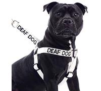Dexil DEAF DOG (Dog Has Limited/No Hearing) White Colour Coded Non Pull L-XL Dog Harness PREVENTS Accidents By Warning Others Of Your Dog In Advance