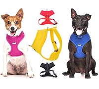 Dexil Elite Range Luxury Padded Waterproof Adjustable Back and Front Ring Non-Pull Small Pet Dog Vest Harness (Candy Pink, Small 36-58cm Chest)