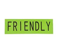 Dexil FRIENDLY Green Patch Pair (Known as Friendly To All) Use on Tactical Power Harness (Large 16cmx5cm)