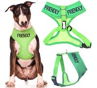 Dexil FRIENDLY (Known as Friendly to all) Green Colour Coded Non-Pull Front and Back D Ring Padded and Waterproof Vest Dog Harness PREVENTS Accidents By Warning Others Of Your Dog In Advance (L)
