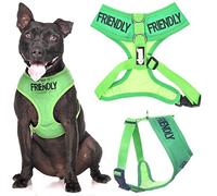 Dexil FRIENDLY (Known as Friendly to all) Green Colour Coded Non-Pull Front and Back D Ring Padded and Waterproof Vest Dog Harness PREVENTS Accidents By Warning Others Of Your Dog In Advance (M)