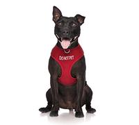Dexil Limited DO NOT PET Red Colour Coded Non-Pull Front and Back D Ring Padded and Waterproof Vest Dog Harness PREVENTS Accidents By Warning Others Of Your Dog In Advance (L)