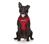 Dexil Limited DO NOT PET Red Colour Coded Non-Pull Front and Back D Ring Padded and Waterproof Vest Dog Harness PREVENTS Accidents By Warning Others Of Your Dog In Advance (S)