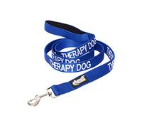 Dexil Limited THERAPY DOG Blue Colour Coded 60cm 120cm 180cm Padded Dog Lead PREVENTS Accidents By Warning Others of Your Dog in Advance (180cm)