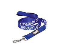 Dexil Limited THERAPY DOG Blue Colour Coded 60cm 120cm 180cm Padded Dog Lead PREVENTS Accidents By Warning Others of Your Dog in Advance (120cm)