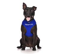 Dexil Limited THERAPY DOG Blue Colour Coded Non-Pull Front and Back D Ring Padded and Waterproof Vest Dog Harness PREVENTS Accidents By Warning Others Of Your Dog In Advance (XS)
