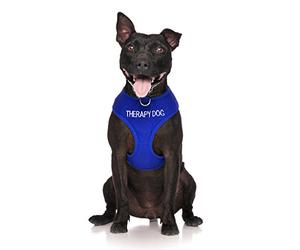 Dexil Limited THERAPY DOG Blue Colour Coded Non-Pull Front and Back D Ring Padded and Waterproof Vest Dog Harness PREVENTS Accidents By Warning Others Of Your Dog In Advance (L)