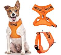 Dexil NO DOGS (Not good with other dogs) Orange Colour Coded Non-Pull Front and Back D Ring Padded and Waterproof Vest Dog Harness PREVENTS Accidents By Warning Others Of Your Dog In Advance (S)