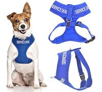 Dexil SERVICE DOG Blue Colour Coded Non-Pull Front and Back D Ring Padded and Waterproof Extra Small Dog Harness PREVENTS Accidents By Warning Others Of Your Dog In Advance