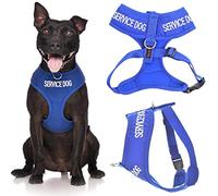 Dexil SERVICE DOG (Do Not Disturb/Dog Is Working) Blue Colour Coded Non-Pull Front and Back D Ring Padded and Waterproof Medium Dog Harness