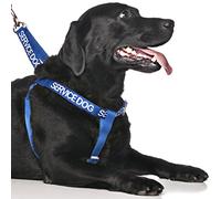 Dexil SERVICE DOG (Do Not Disturb/Dog Is Working) Blue Colour Coded Non Pull L-XL Dog Harness PREVENTS Accidents By Warning Others Of Your Dog In Advance
