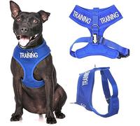 Dexil TRAINING Blue Dog Pattern Medium Harness for Dogs - Non-Pull Front & Back D Ring Padded & Waterproof - Prevents Accidents by Warning Others of Your Dog in Advance