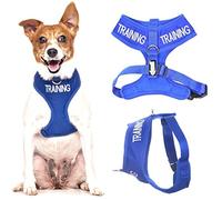 Dexil TRAINING (Dog In Training/Do Not Disturb) Blue Colour Coded Non-Pull Front and Back D Ring Padded and Waterproof Vest Dog Harness PREVENTS Accidents By Warning Others Of Your Dog In Advance (S)