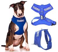 Dexil TRAINING (Dog In Training/Do Not Disturb) Blue Colour Coded Non-Pull Front and Back D Ring Padded and Waterproof Vest Dog Harness PREVENTS Accidents By Warning Others Of Your Dog In Advance (L)
