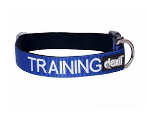 Dexil TRAINING (Dog In Training/Do Not Disturb) Blue Colour Coded S-M L-XL Dog Collars PREVENTS Accidents By Warning Others Of Your Dog In Advance (L-XL)