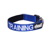 Dexil Training Small Snap Collar