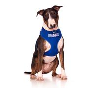 Dexil Training Vest Harness