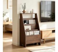 Dexinhdh Brochure Display Rack, Magazine Literature Display Stand
