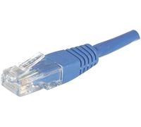 Dexlan 9.84ft Cat6 RJ45 UTP Patch Cable - Blue