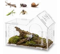 Dexpally Acrylic Reptile Transport Box, Mini Reptile Propagation Box for Snails, Tarantula, Lizards, Scorpions, Beetles (8 x 8 x 14 cm)