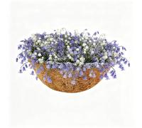 DexQur 1/2/4/6PCS Trough Coco Replacement Liners, Multiple Sizes Coconut Liners for Wall Planters Hanging Basket Liners, Plant Liners for Trough Planters for Indoor Outdoor Decor (Bowl 1PC, 12inch)
