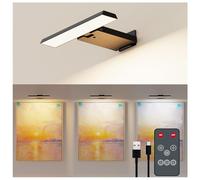 Deyagoo Wireless Picture Light, LED Wall Light Indoor with Remote Control, 6000 mAh Battery Picture Lighting with Timer, Dart Lighting, 3 Colour Modes, Dimmable Wall Lamp for Painting, Photo Art