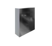Dezine Trent 500mm Gloss Grey Mirror Unit, 2 Door