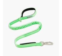 DF Co. Bungee Dog Leash | Strain Free & Shock Resistant for Control | Neoprene Padded Handle, Heavy-Duty Carabiner Clip, and D-Ring | Neon Green, Size Regular