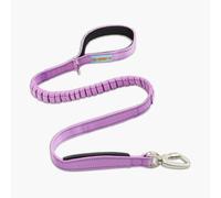 DF Co. Bungee Dog Leash | Strain Free & Shock Resistant for Control | Neoprene Padded Handle, Heavy-Duty Carabiner Clip, and D-Ring | Purple, Size Regular