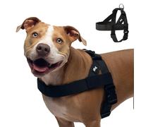 DF Co. Dog Harness | Chafe Resistant Webbing, Adjustable Neck & Chest, and Heavy Duty D-Ring | Sturdy, Comfortable, Easy to Use | Black, Size L