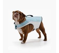 DF Co. Dog Life Jacket | Stylish & Comfortable Essential for Your Dogs Water Safety | Padded Buckles, Sturdy Grab Handle, Easy Adjustment, Chafe-Free, Quick Drying | Sky Blue, Size M
