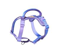 DF Freedom No Pull Martingale Dog Harness, Gentle Control for No Choking, Front Clip Harness with Reflective, 5 Point Adjustable and Safety Support Handle, Rainbow, 1", Chest 22.4" - 30.4"