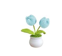 dfEDRd Knitted Flowers, Mini Crochet Potted Flower Hand-Pots Wedding Artificial Daisy(A2 12x10cm)