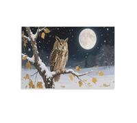 DFENILROP Snowy Night Owl Wall Painting, Moonlit Bird Poster Artwork on Hallway | Giclée Picture Canvas Printing, Special Home Decor for Bedroom and Office, Gift 20x30inch(50x75cm)