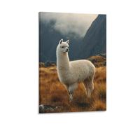 DFENILROP Wall Art, Animal Poster, White Alpaca Standing in Mountain Meadow, Perfect for Nature Decor - High-Resolution Canvas Print, Gift 20x30inch(50x75cm)