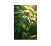 DFENILROP Wall Art, Plants Poster, Fresh Basil Leaves With Dew Drops, Ideal For Kitchen Decor - Premium Canvas Print, Gift 08x12inch(20x30cm)